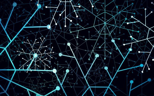 Network Points Technology - AnimoDigital / Pixabay