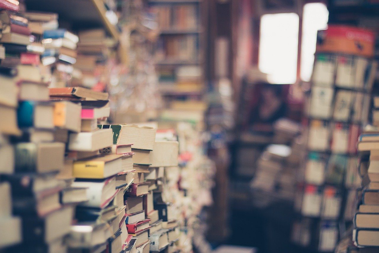 Books Stack Book Store - EliFrancis / Pixabay